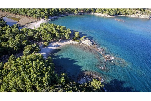 Phaselis